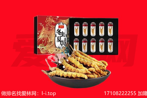 日喀则江孜回收虫草.jpg